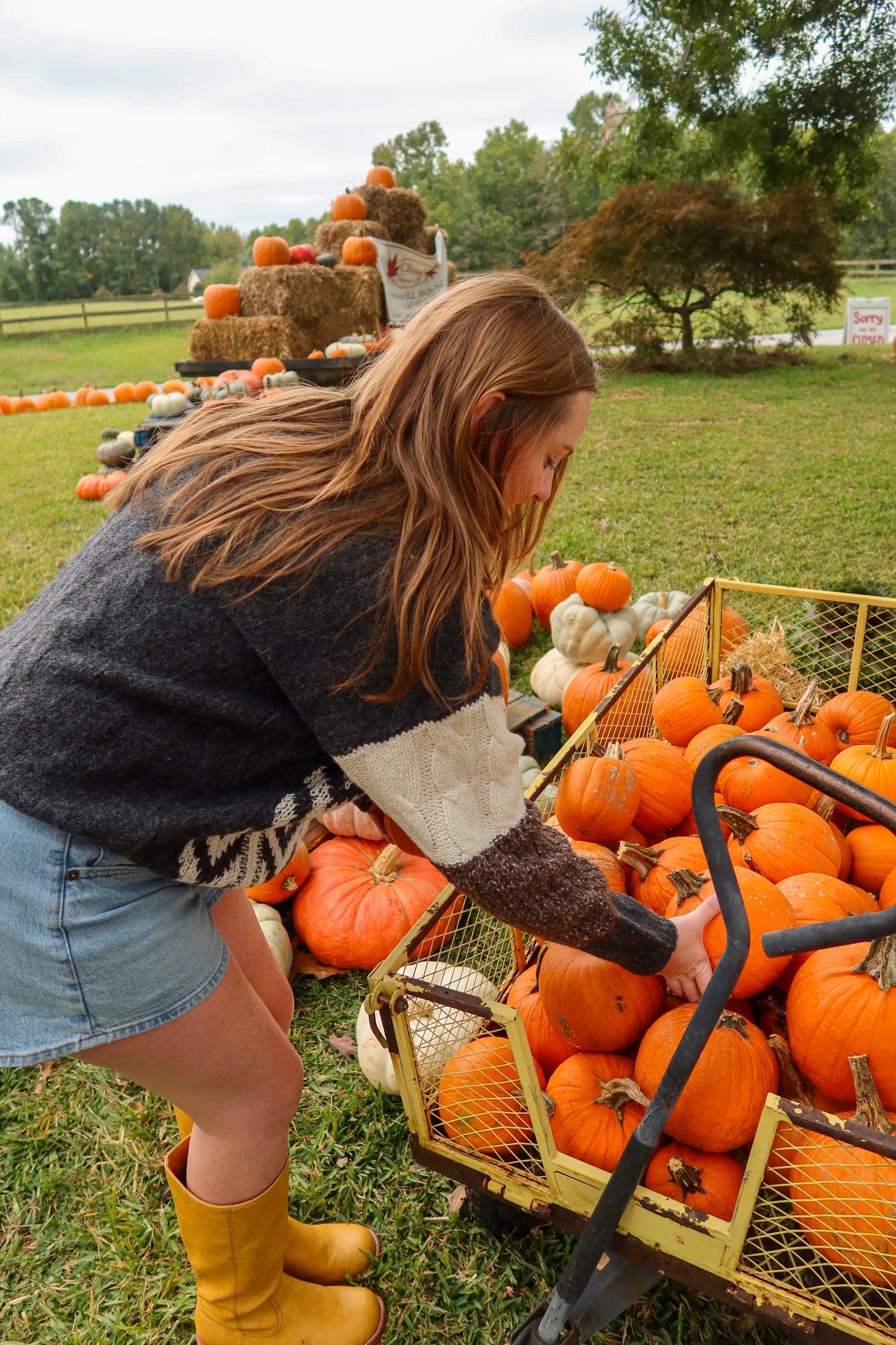 Fall For You Sweater