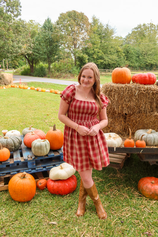 Pumpkin Picking Dress