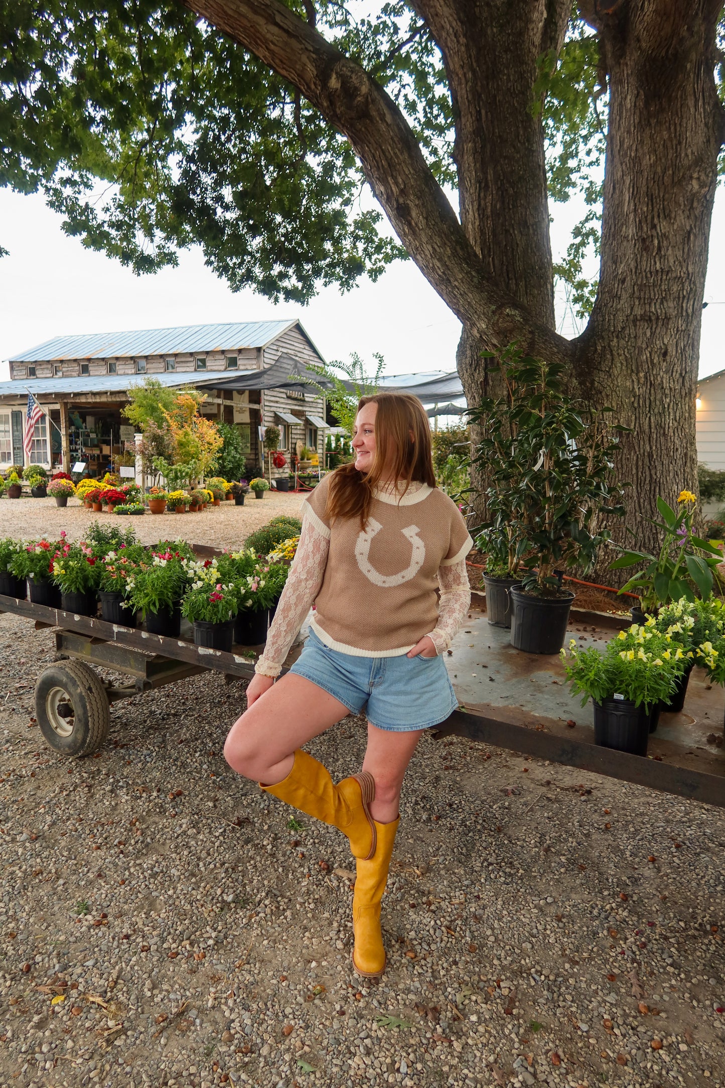 Horsing Around Sweater