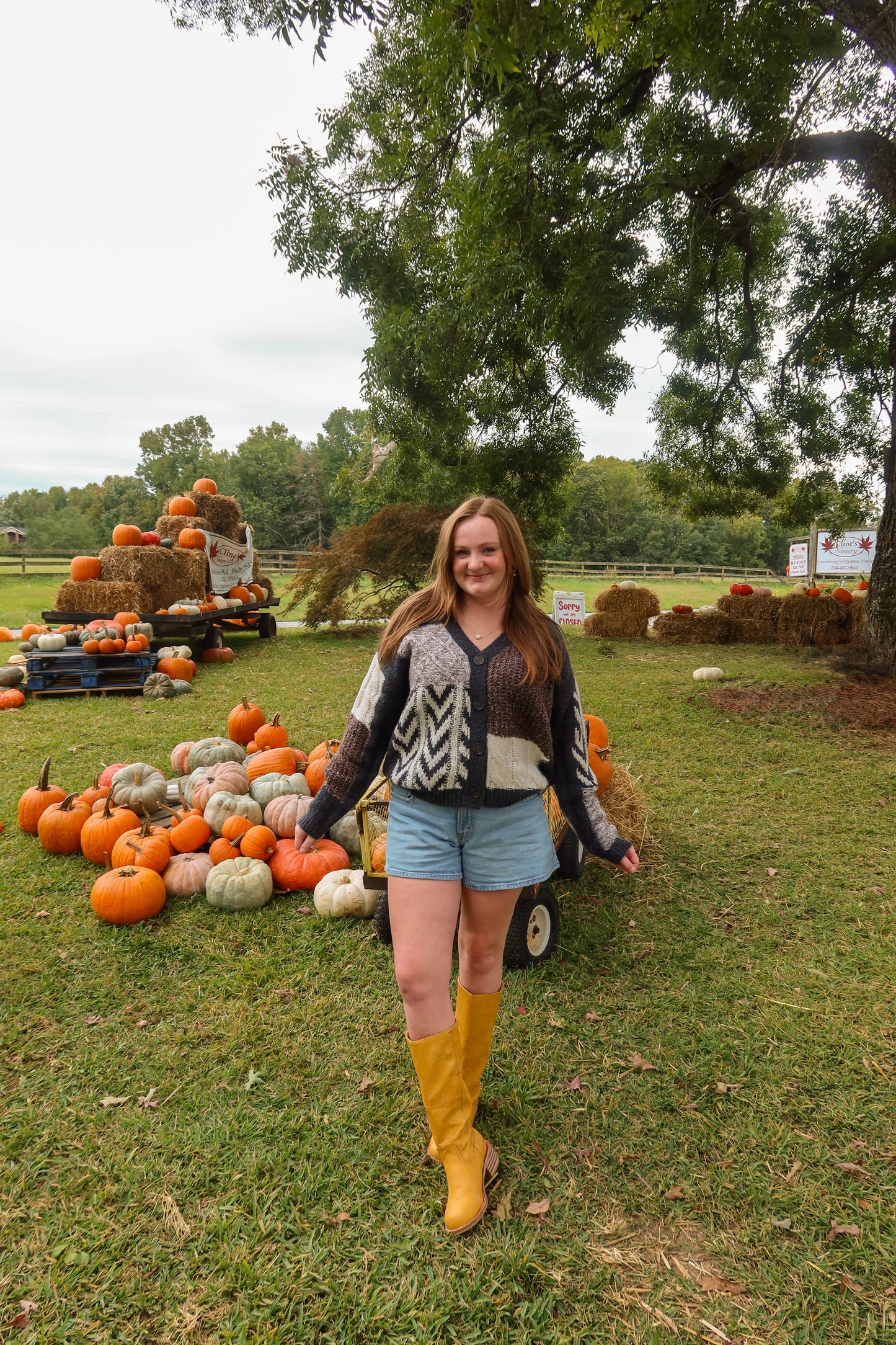 Fall For You Sweater