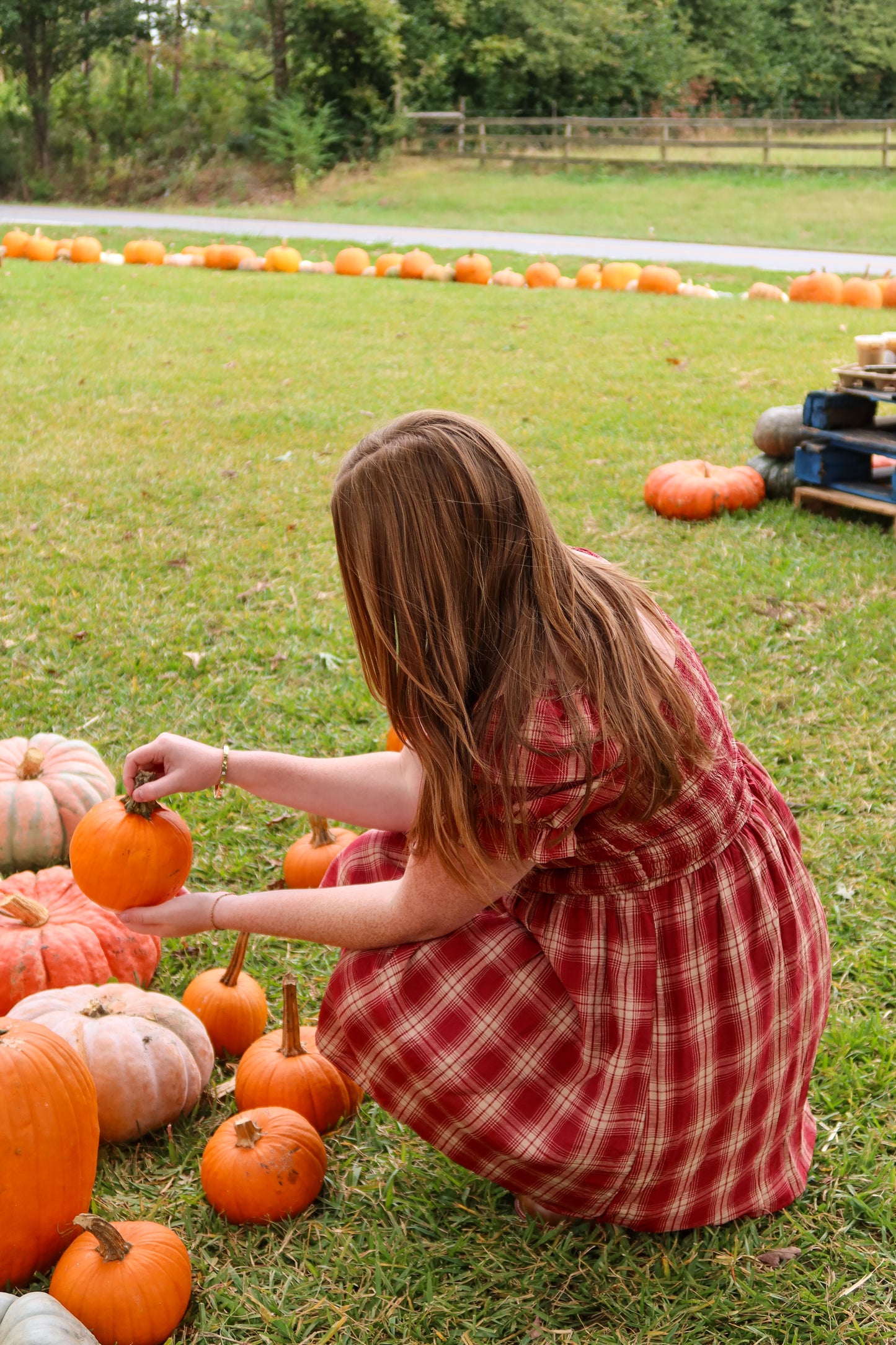 Pumpkin Picking Dress