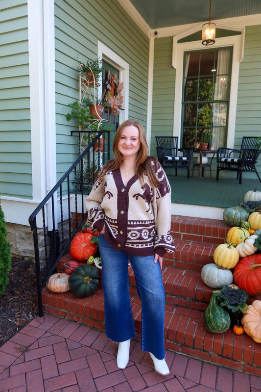 Western Dreams Sweater